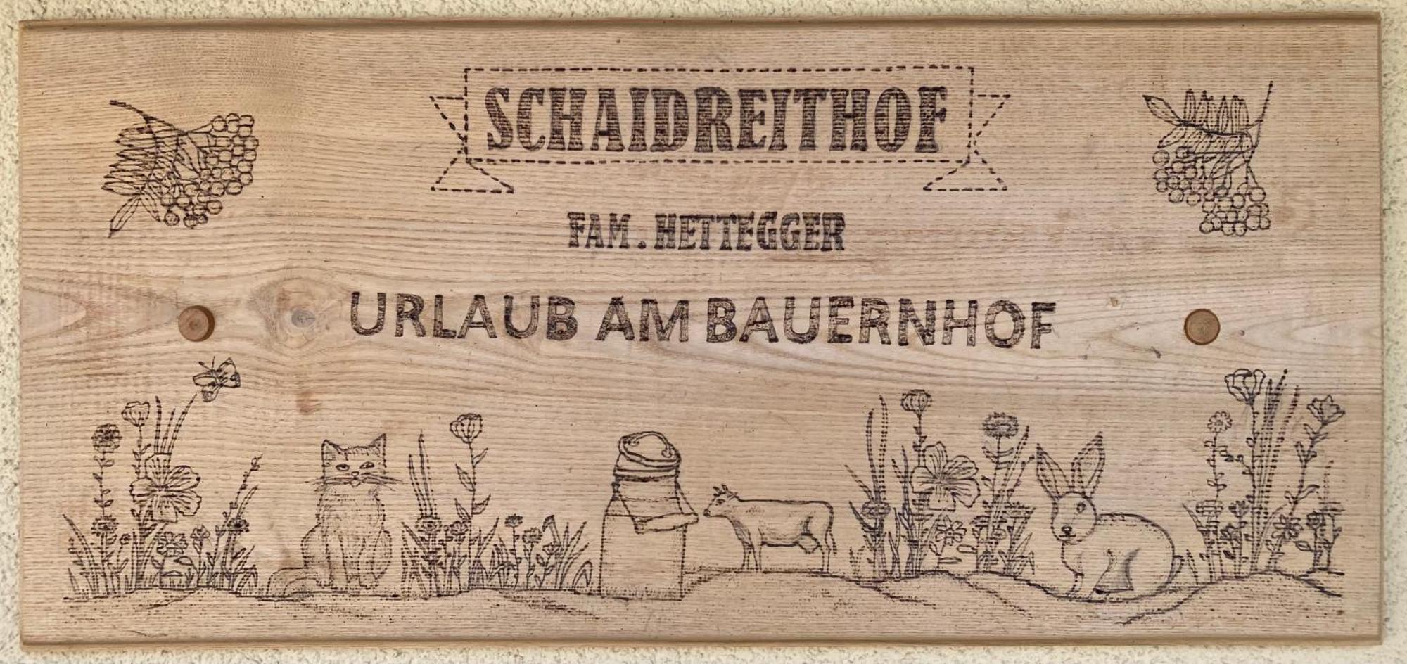 Schaidreithof Großarl Exterior foto